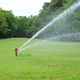 Illustration for article titled Commit To Your Grass To Improve The Appearance Of Your Own Homeem/em